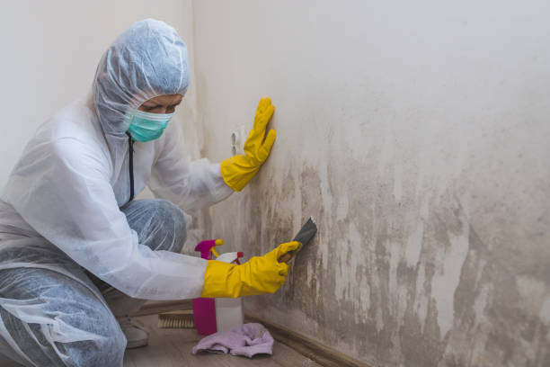 Water Damage Restoration in Como, WI