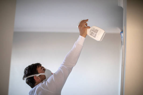 Best Water Damage Restoration  in Como, WI