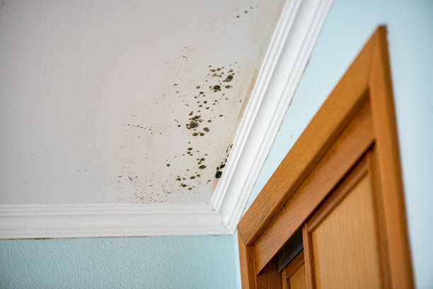 Best Mold Testing  in Como, WI