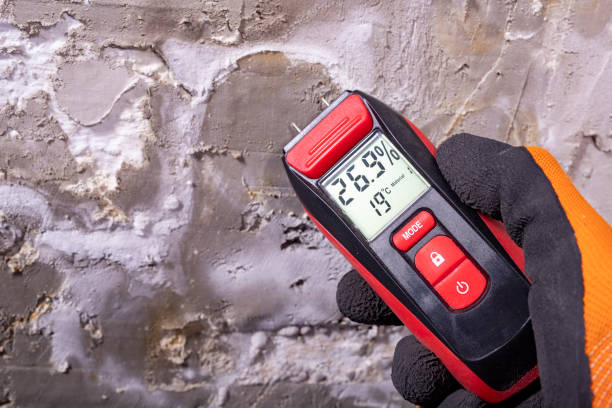 Best Residential Mold Removal  in Como, WI
