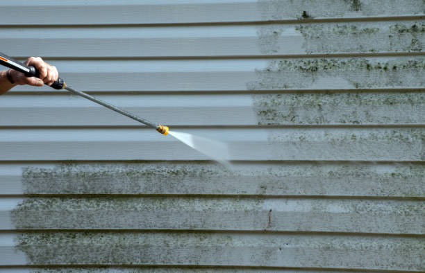 Best Residential Mold Removal  in Como, WI