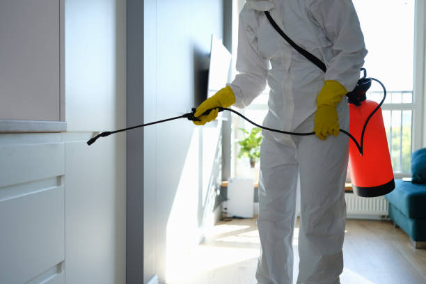 Best Mold Removal Process  in Como, WI