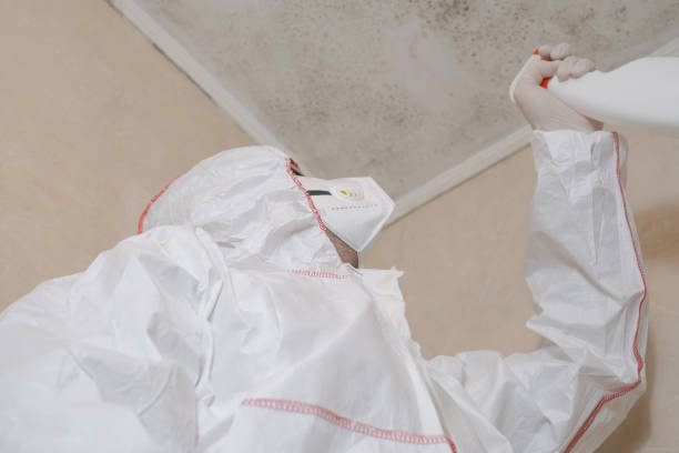 Best Mold Removal Company Near Me  in Como, WI