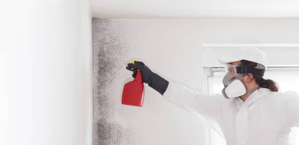 Best Mold Testing  in Como, WI