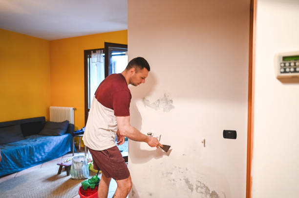 Best Mold Removal Specialists  in Como, WI