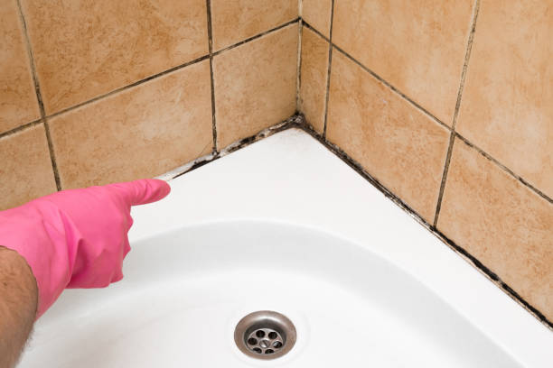 Best Home Mold Removal  in Como, WI
